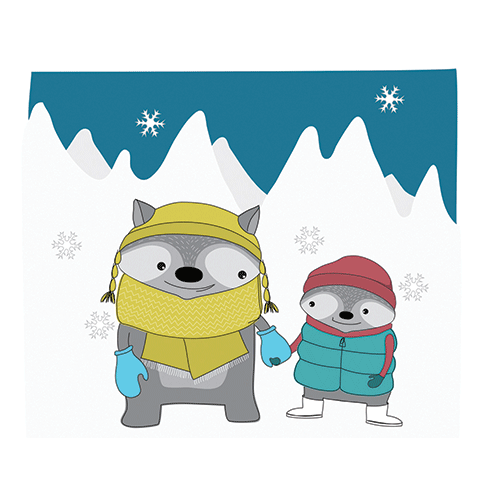 Raccoons in winter
